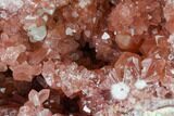 Beautiful, Pink Amethyst Geode Half - Argentina #170177-1